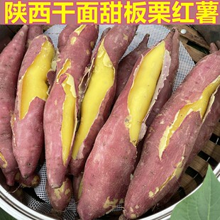 新鲜现挖干面粉糯香甜无丝无筋陕西临潼板栗红薯山芋番薯4.5斤