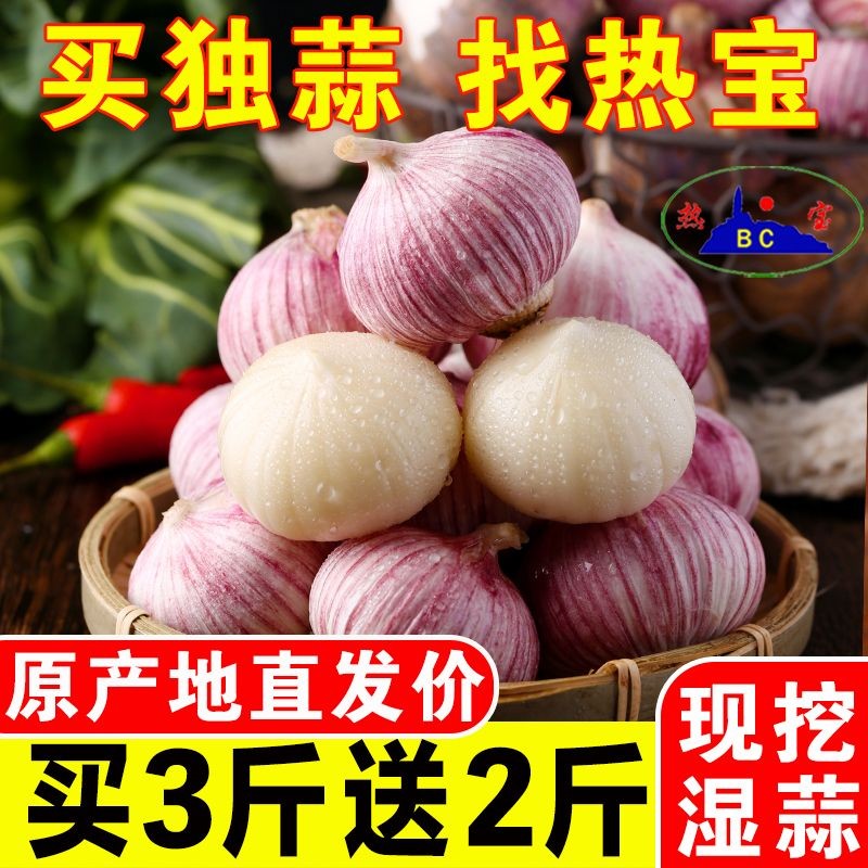 BC/热宝云南紫皮大蒜独头蒜新蒜晾晒干蒜糖醋蒜腊八蒜1/2/3/5斤