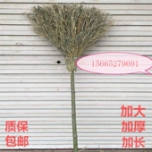 苕帚热销款 扫水竹扫把老式 扫帚套装 家用庭院户外环卫竹竿把加长款