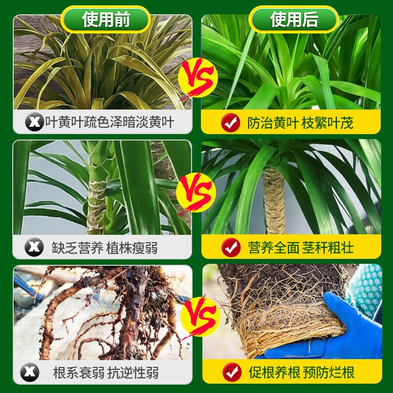 龙血树专用肥营养液龙须树防治黄叶室内盆栽绿植通用型氮磷钾肥料