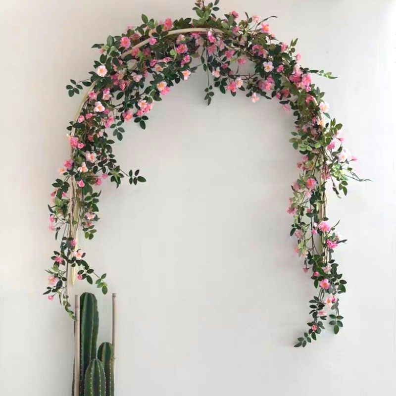 壁挂式爬藤架门窗户门帘半拱形拱门花架月季攀爬植物支架铁艺庭院,鲜花速递/花卉仿真/绿植园艺,花架,淘宝优惠券,粉丝福利购,淘宝优惠卷