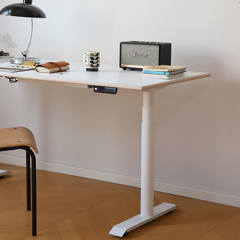 ZOMO电动升降桌站立电脑桌家用小户型办公桌双电机俄罗斯海洋板