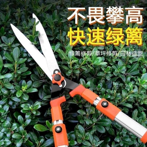 园艺大剪刀花木树枝修剪家用伸缩修枝剪草坪绿篱剪强力粗枝园林剪