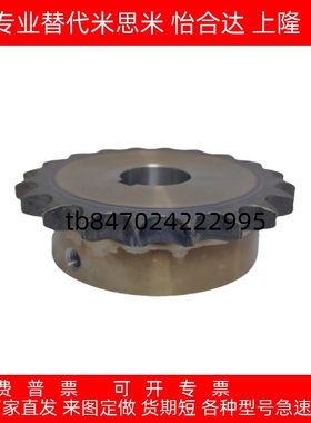 链轮 BSP60B SSP60B SP80B FBN100B 12A 16A 20A