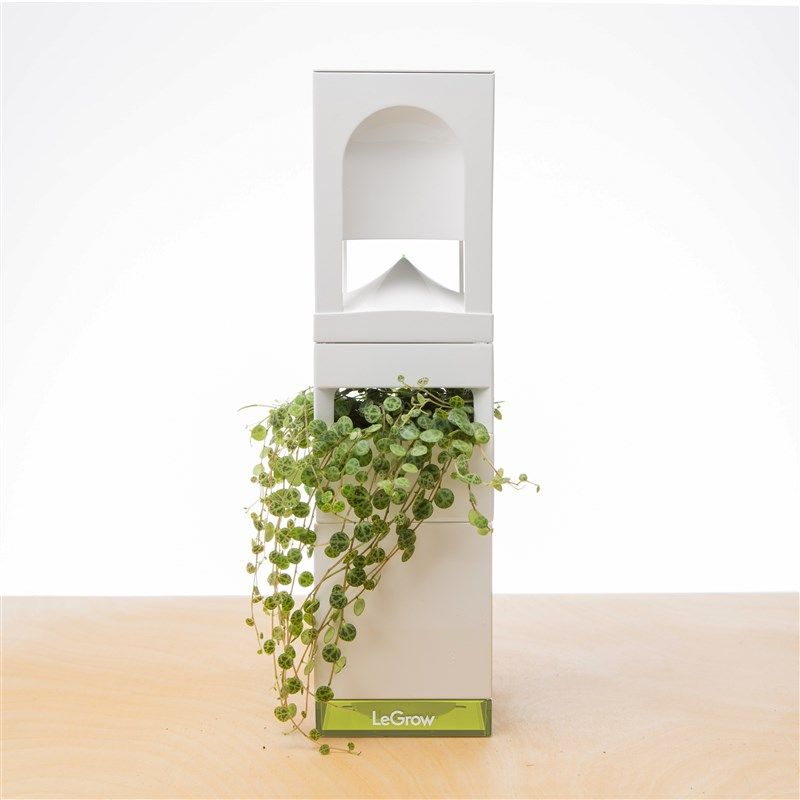 LeGrow音乐花园 360度桌面小型蓝牙音箱高品质音响重低音生日礼物