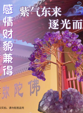 鸷山寺紫水晶紫晶簇原p石晶洞紫晶树玄关写字台床头家居装饰品摆