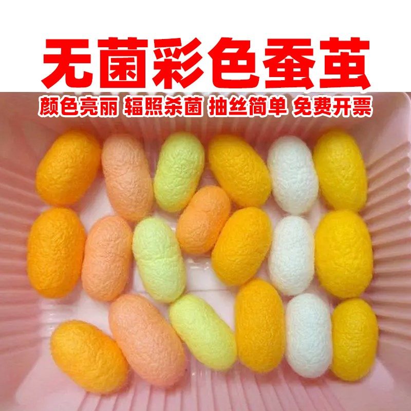 彩色蚕茧壳手工diy抽丝机做被子工G艺品手工画材料扇子加工干金茧