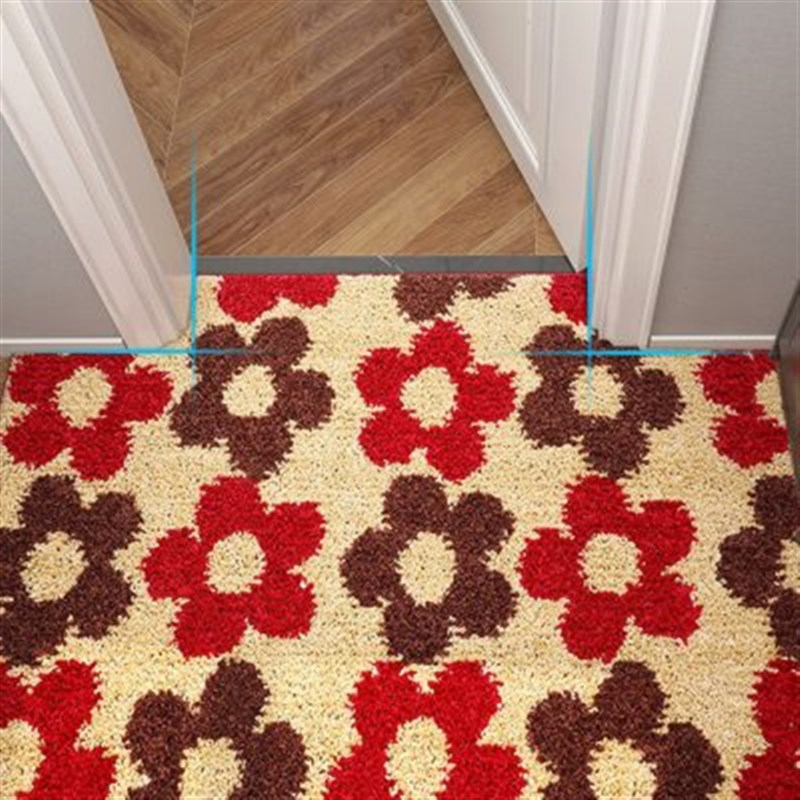 入户门地垫定制尺寸玄关脚垫吸水防滑卧室进门地毯家用卫生间门垫