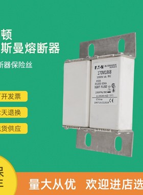 全新快速熔断器保险170M1805 170M1806 170M1807 170M1808