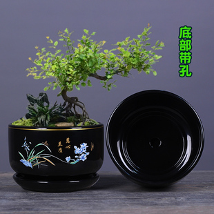 花盆陶瓷带托盘加厚简约家用室内蝴蝶兰花绿O吸水透气轻奢海棠花