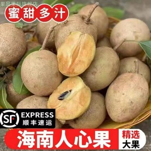 海南人心果新鲜大果当季整箱稀罕见热带孕妇水果现货顺丰速发