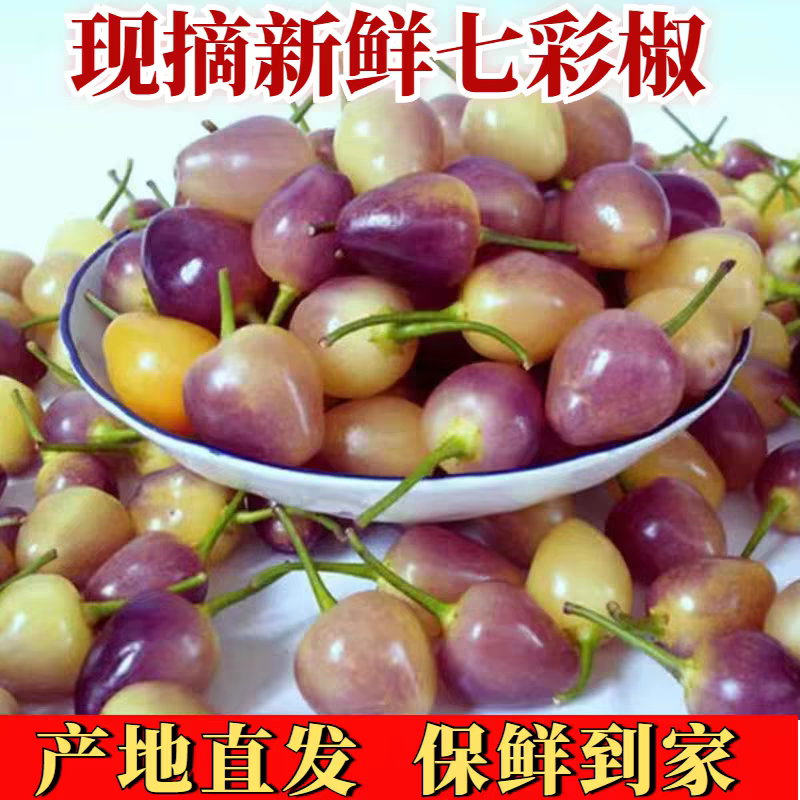 【当天现摘】新鲜七彩辣椒广西五彩椒五色椒灯笼辣椒可腌制泡椒