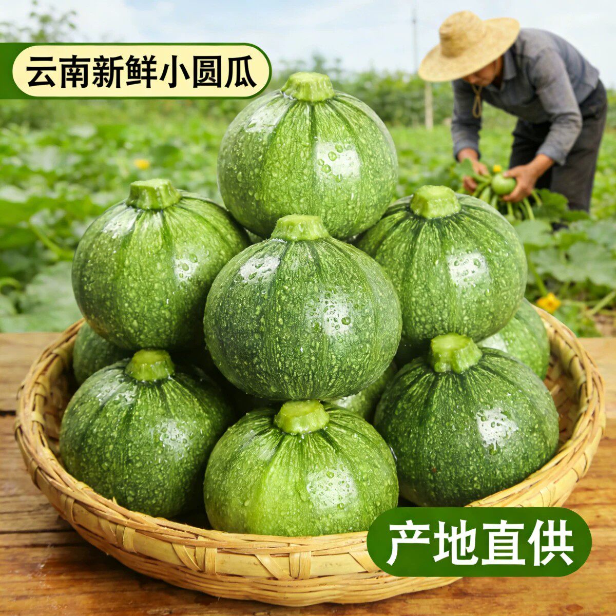 云南嫩南瓜小圆瓜蔬菜当季整箱5斤现摘农家西葫芦甜瓜扁倭瓜青瓜