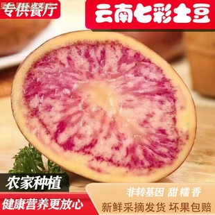 红皮花心洋芋七彩土豆种子云南特产新鲜现挖蔬菜餐厅零售火锅美食