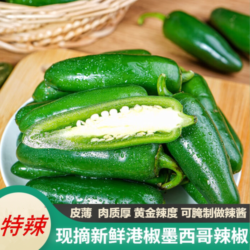 精选新鲜东北港椒墨西哥辣椒泡椒香辣皮薄肉厚现摘农家自种包邮