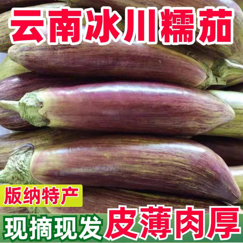 云南冰川茄子新鲜招积蔬名菜缅甸正宗脆皮糯花茄餐厅酒店食材包邮