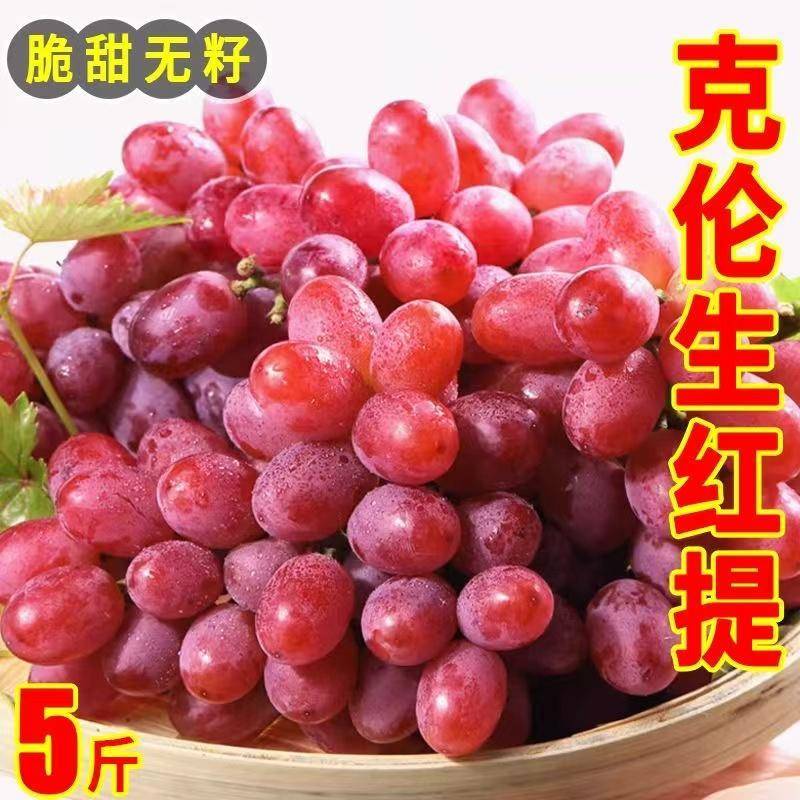 克伦生无籽红提葡萄现摘新鲜多汁无核无籽超甜脆当季孕妇儿童水果