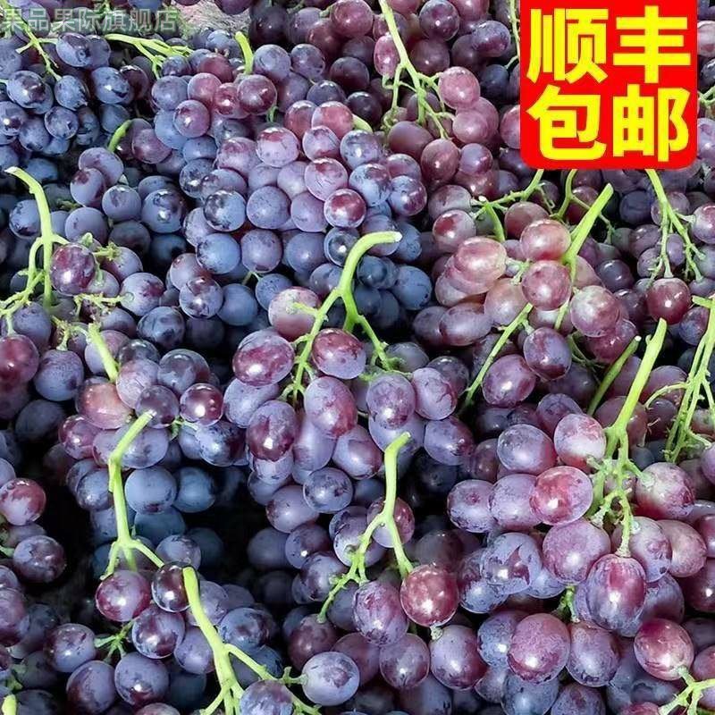 玫瑰香葡萄红提山东农家特产平度新鲜葡萄整箱孕妇水果4斤顺丰