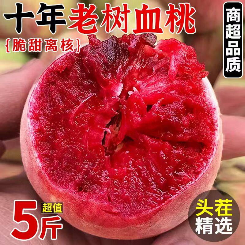 桐柏朱砂红紫肉血桃新鲜当季整箱水果脆甜桃子毛桃应季五月