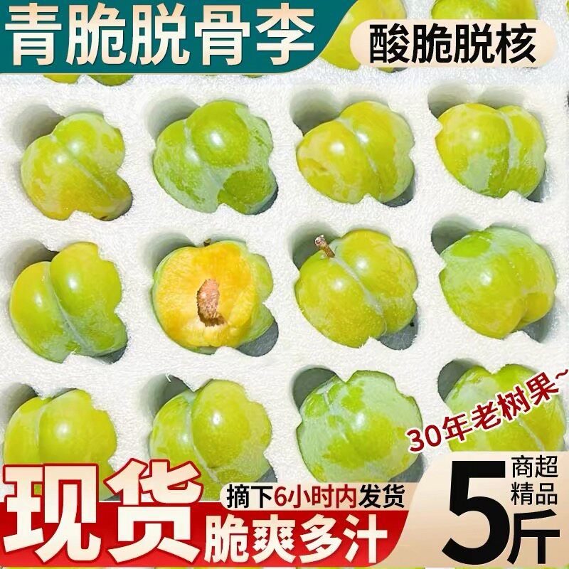 2026四川脱骨李子现货新鲜青脆李大果孕妇水果当季脆甜酸现摘包邮