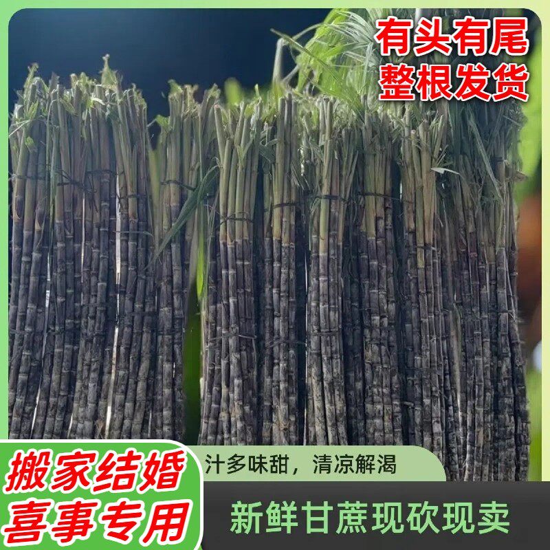 2整根黑皮甘蔗 海南三亚新鲜当季应季水果特产 结婚搬家新居喜事