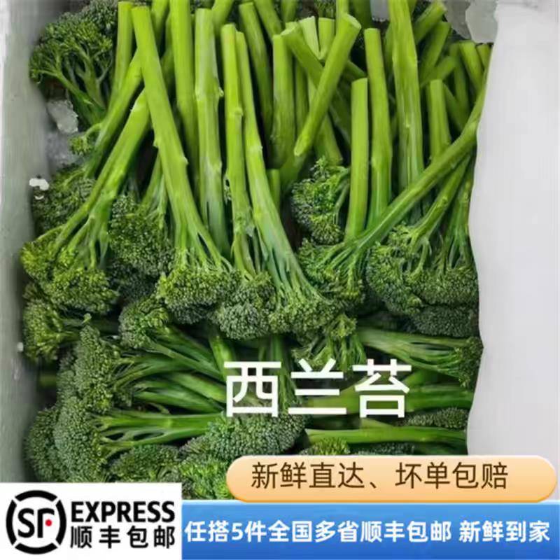 甜杆新鲜西兰花苔芦笋新鲜西兰苔迷你西兰花兰花苔西蓝苔宁夏