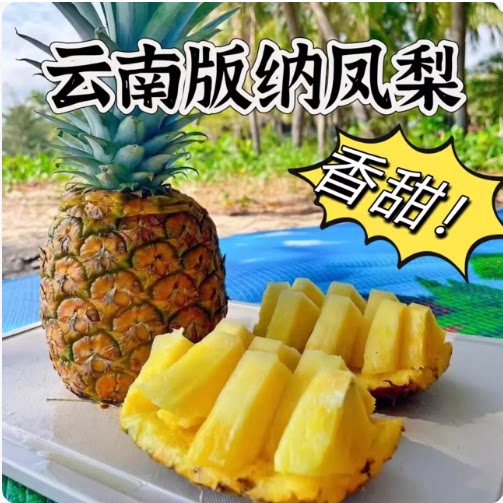 西双版纳凤梨菠萝无眼甜蜜蜜香甜应季现摘现发云南树熟新鲜孕妇