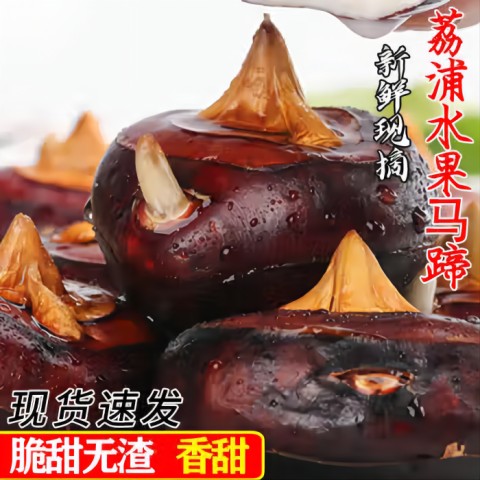 超实惠广西桂林荔浦新鲜马蹄农家现挖荸荠脆甜多汁新鲜蔬菜