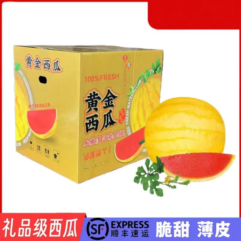 (顺丰）黄金赤金西瓜黄皮红壤新鲜现摘现发送礼专属礼盒装