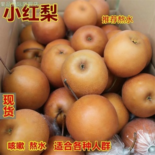 红梨宝宝咳嗽新鲜梨子沙梨魏县正宗小酸红梨冰糖煮水熬汤化痰铁梨