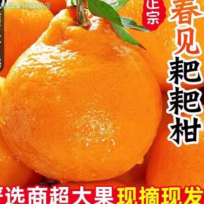 丑橘耙耙柑橘子水果当季丑八怪粑粑柑10斤桔子整箱包邮丑桔柑