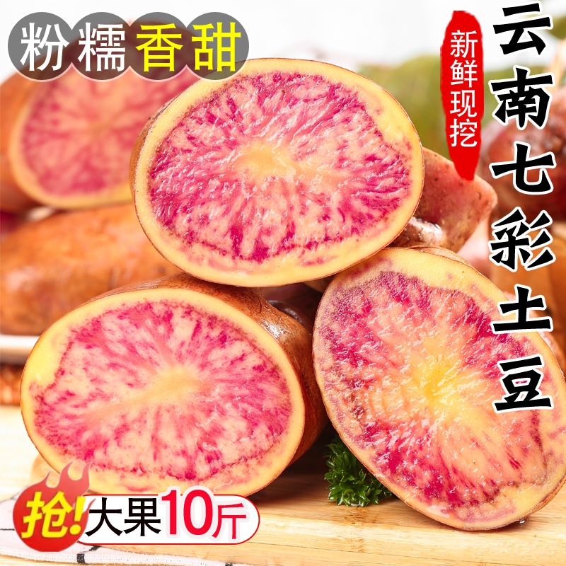 红皮花心洋芋七彩土豆种子云南特产新鲜蔬菜餐厅零售火锅美食