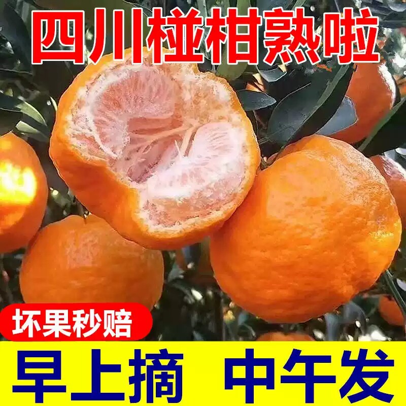 椪柑四川芦柑应季新鲜水果橘子碰柑孕妇水果桔子大果10斤整箱包邮