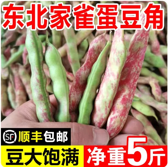 东北特产花雀蛋豆角家雀蛋油豆角豆大饱满新鲜蔬菜5斤顺丰包邮图片