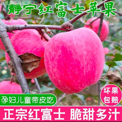 正宗甘肃静宁苹果红富士苹果一箱10斤冰糖心旗舰店水果新鲜整箱