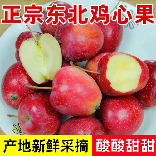 新鲜鸡心果脆甜小苹果新鲜采摘海棠果沙果123水果花红果当季