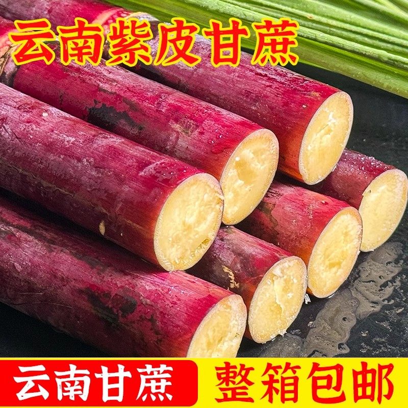 【新鲜现发】云南红皮脆皮水果甘蔗老品种农家新鲜甘蔗孕妇水果