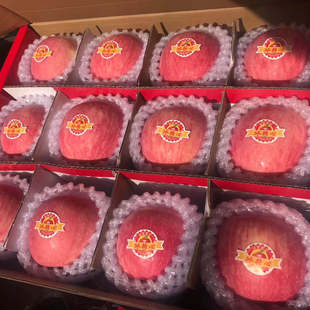 壶口苹果水果10斤礼盒脆甜冰糖心吉县精选大果新鲜红富士顺丰