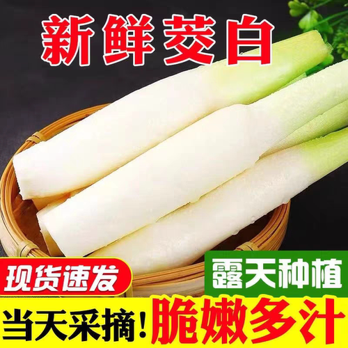 高山新鲜茭白时令蔬菜水笋湖北宜昌嫩高笋农家自种嫩茭笋产妇食材