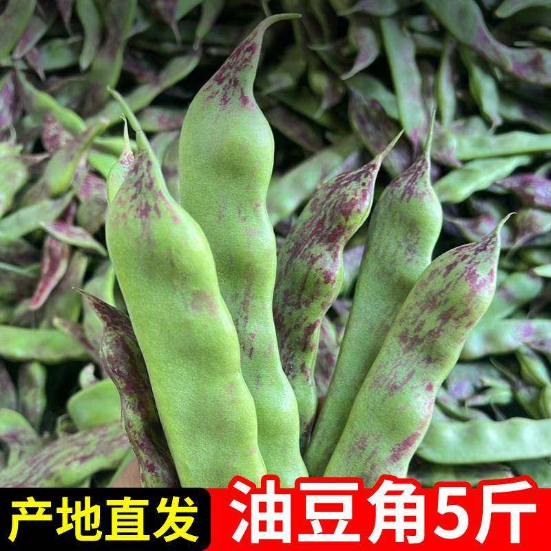 当季东北油豆角现摘新鲜蔬菜5斤一点红无筋宽豆九月青黑龙江油豆,水产肉类/新鲜蔬果/熟食,新鲜豆类,淘宝优惠券,粉丝福利购,淘宝优惠卷