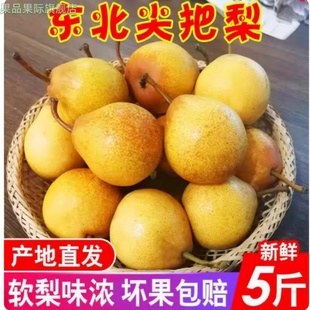 尖把梨东北特产秋子梨冻梨辽宁鞍山小酸梨孕妇5斤10斤葫芦梨