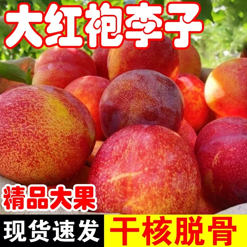 正宗东北新鲜水果大红袍干核李子黄心脱骨应季孕妇水果整箱包邮
