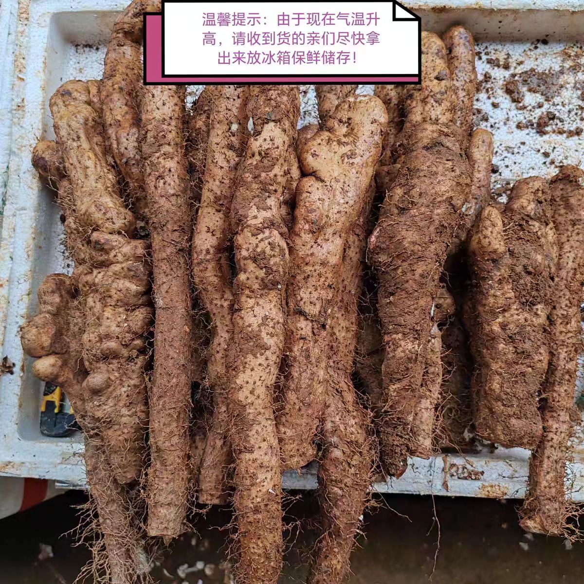 顺丰现挖纯野生山药新鲜粉糯野山药老野山薯现挖现发煲汤江西瑞昌图片