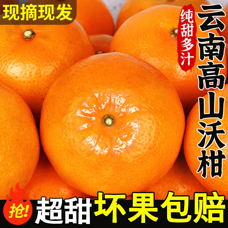 广西纯甜沃柑10斤橘子新鲜水果当季整箱沙糖蜜桔柑橘桔子武鸣直发
