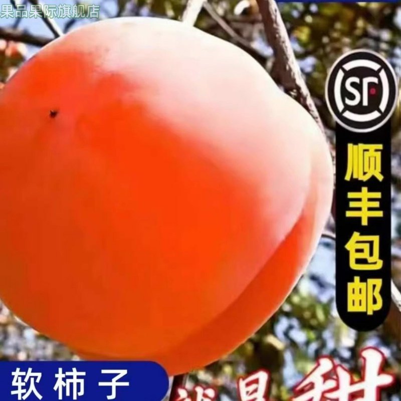顺丰特大磨盘柿10斤整箱软甜懒柿磨盘盆柿当季水果软柿子新鲜,水产肉类/新鲜蔬果/熟食,柿子,淘宝优惠券,粉丝福利购,淘宝优惠卷