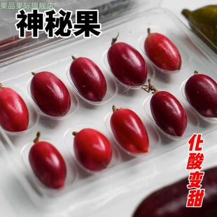神秘果干12粒水果神奇果变味果应当季酸变甜稀罕见鲜果整箱包邮