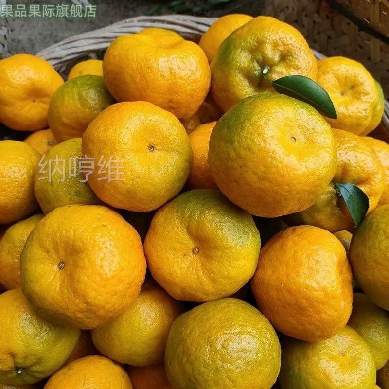 正宗芦柑新鲜10斤橘子当季现摘甜水果椪碰柑桔子包邮整箱福建永春,水产肉类/新鲜蔬果/熟食,橙,淘宝优惠券,粉丝福利购,淘宝优惠卷