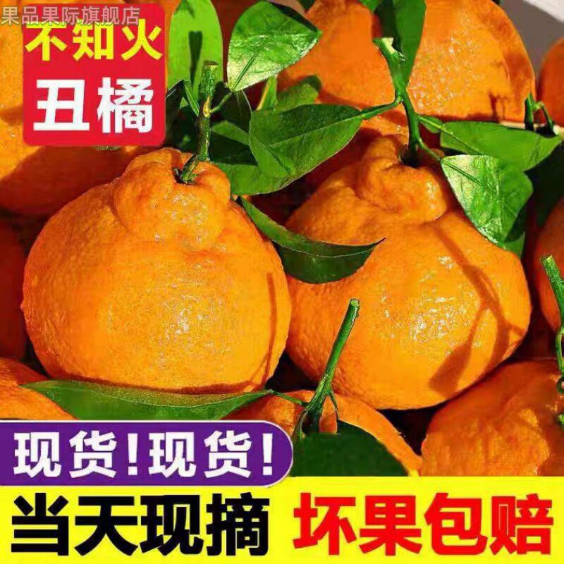 云南高山丑橘丑八怪当季新鲜水果橘子薄皮耙耙粑粑丑柑橘整箱桔子