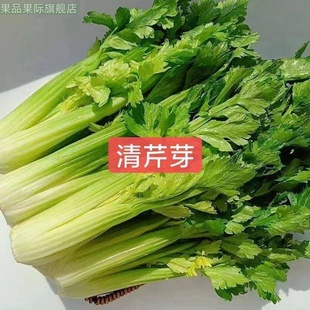 新鲜蔬菜云南高原生吃水果青芹芽芹菜芯西芹嫩芽餐饮特色食材顺丰