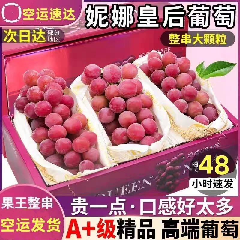 正宗妮娜皇后葡萄无籽罗马红宝石红提新鲜提子女皇尼娜公主鲜果